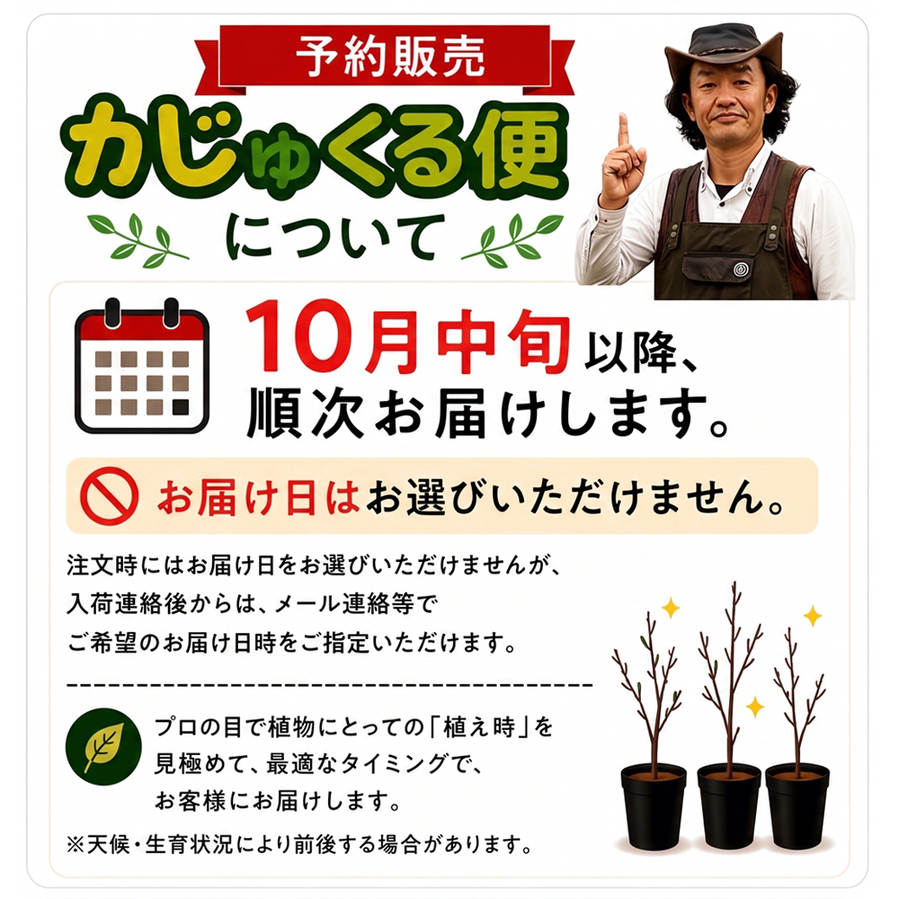 予約販売