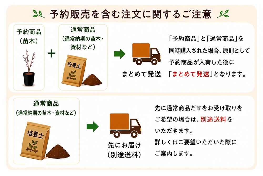 予約販売