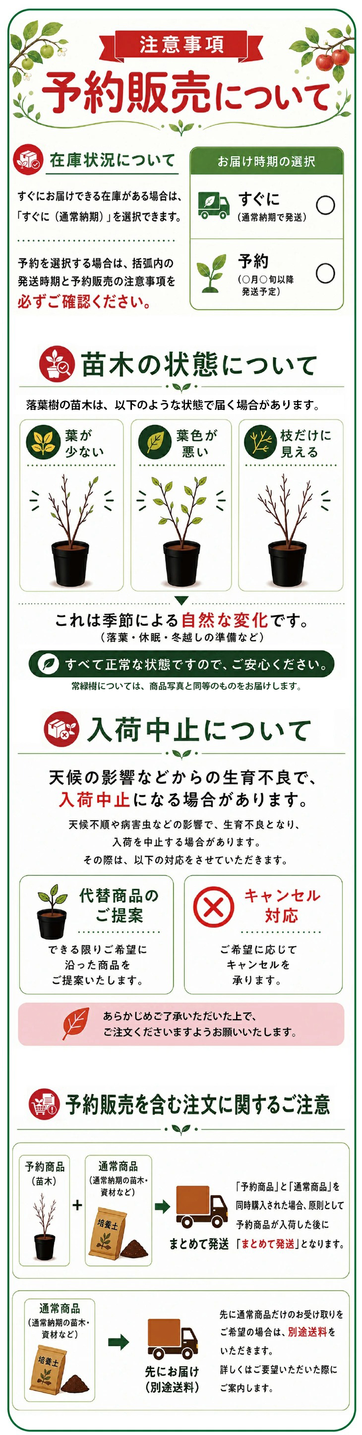 予約販売